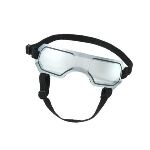 our fave Bunte Haustier-Sonnenbrille, coole Tierbrille, schöne modische Haustier-Sonnenbrille für kleine Hunde und Welpen our fave Bunte Haustier-Sonnenbrille, coole Tierbrille, schöne modische Haustier-Sonnenbrille für kleine Hunde und Welpen von our fave
