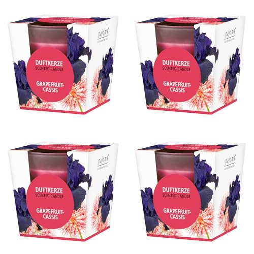 pajoma® Duftkerze 4er Set, Grapefruit-Cassis - im satinierten Glas | 4x 120g Wachsgewicht, Brenndauer: 25 Stunden, in edler Geschenkverpackung | Premium Qualität von pajoma
