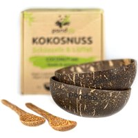pandoo Kokosnuss Schüssel-Set 450,0 ml braun von pandoo