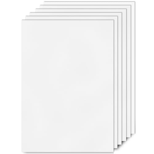 pangdapengpeng 6 Stück Polypropylen Platte Weiß, A4 Kunststoffplatten 21 x 29,7 cm, 1mm Stärke Kunststoff Hart-Platten für Modellbau, Modellieren, Kunst, DIY (Weiß) von pangdapengpeng