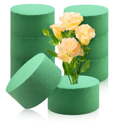 pangdapengpeng 8 Stück Steckschaum 8 x 4cm, Blumensteckschaum Rund, Nasssteckschaum Steckmoos für Hochzeiten, Familienfeiern, Frischblumen, Kunstblumen, Blumendekorationen (8PCS) von pangdapengpeng