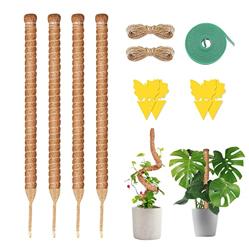 70cm Pflanzenstab Rankhilfe, Biegbar Kokosfaser Monstera Moosstab Pflanzstäbe Rankstäbe mit Sprühflasche Garten Drehbinder Pflanzenetiketten Moosstäbe für Kletterpflanzen Pflanzenstütze (4er 70cm) von panthem