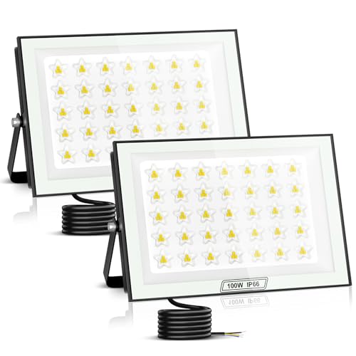 papasbox 2 Stück 100W LED Strahler Außen | Scheinwerfer 6500K Kaltweiß 10000LM Außenstrahler IP66 Wasserdicht Fluter für den Außenbereich Garten Garage Hof von papasbox