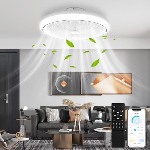 papasbox Deckenleuchte mit Ventilator 47cm | 3 Farbtemperatur 6 Geschwindigkeiten 65W LED Deckenventilator mit Beleuchtung Lampe | Deckenlampe Fernbedienung Dimmbar für Wohnzimmer Schlafzimmer von papasbox