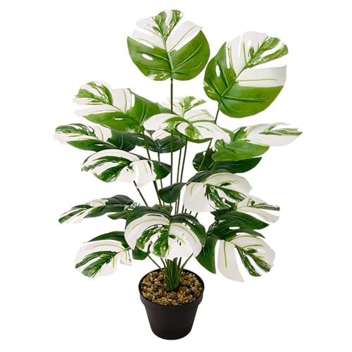 papasgix Kunstpflanze im Topf Blattpflanze 55cm Monstera Weiß Seidenblumen Dekopflanze Grünpflanze Seidenpflanze für Wohnzimmer Balkon Schlafzimmer Badezimmer, drinnen und draußen von papasgix