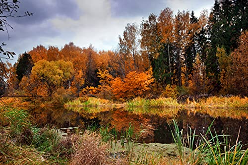 BILD TAPETE PAPERMOON, Fluss am Wald,VLIES Fototapete, Digitaldruck, ink. KLEISTER, verschiedene Größen von papermoon