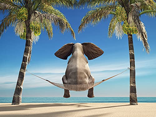 BILD TAPETE PAPERMOON, Elefant auf Hängematte an Strand,VLIES Fototapete, Digitaldruck, ink. KLEISTER, verschiedene Größen von papermoon