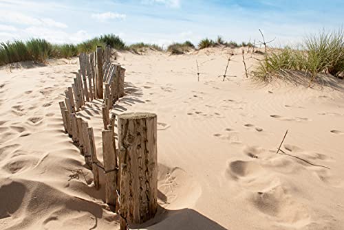 BILD TAPETE PAPERMOON, Dünen Sandy Beach ,VLIES Fototapete, Digitaldruck, ink. KLEISTER, verschiedene Größen von papermoon