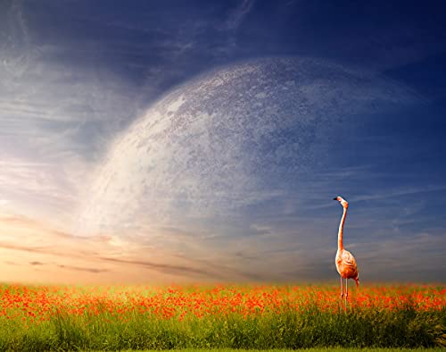 BILD TAPETE PAPERMOON, Flamingo in Blumenwiese,VLIES Fototapete, Digitaldruck, ink. KLEISTER, verschiedene Größen von papermoon