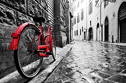 BILD TAPETE PAPERMOON, Retro Old Town Bike,VLIES Fototapete, Digitaldruck, ink. KLEISTER, verschiedene Größen von papermoon