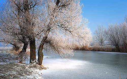 BILD TAPETE PAPERMOON, Winter Fluss,VLIES Fototapete, Digitaldruck, ink. KLEISTER, verschiedene Größen von papermoon