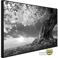papermoon Infrarotheizung »EcoHeat - Baum Schwarz + Weiss«, Matt-Effekt - bunt von papermoon
