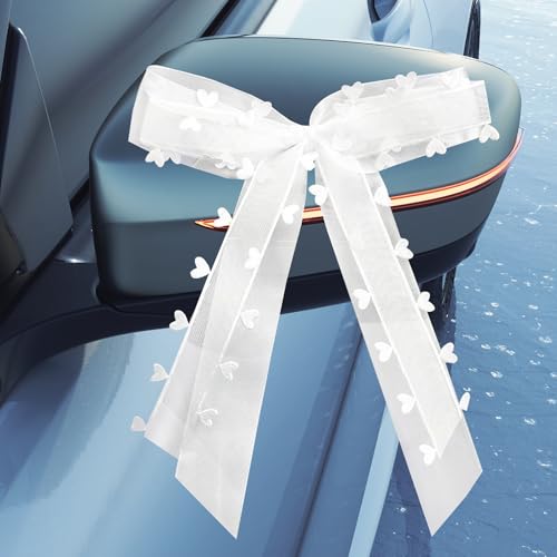 pawpoem 10 Stück Autoschleifen Hochzeit Autoschmuck, Romantische Schleifen Auto Hochzeit aus Organza & Satinband für Autodeko, Hochzeitsdeko Auto, Geschenke & Festliche Hochzeit Deko von pawpoem