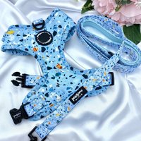 Hundegeschirr Und Leine-Set, Süßes Terrazzo-Zubehör, Geburtstagsgeschenk Für Hunde, Weich Gepolstert, Verstellbar, Leine, Ohne Zugtruhe von pawsomelifeboutique