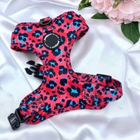 Niedliches Hundegeschirr Set, Rosa Rot Leopard Zubehör, Geburtstagsgeschenk Für Hunde, Weich Gepolstertes Welpen Brust Verstellbares Geschirr von pawsomelifeboutique