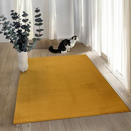 payé Teppich Wohnzimmer Hochflor - 120x170cm - Gelb - Super Soft Kuschelweich Flauschig Modern Einfarbig Modern Weicher Schlafzimmerteppich von payé