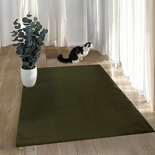 payé Teppich Wohnzimmer Hochflor - 120x170cm - Grün - Super Soft Kuschelweich Flauschig Modern Einfarbig Modern Weicher Schlafzimmerteppich von payé
