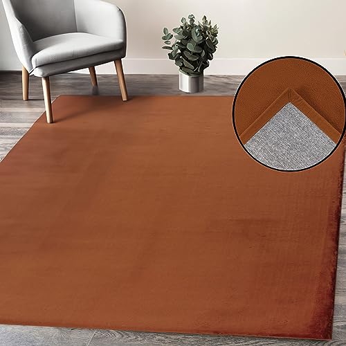 payé Teppich Wohnzimmer Hochflor - 120x170cm - Terracotta - Super Soft Kuschelweich Flauschig Modern Einfarbig Modern Weicher Schlafzimmerteppich von payé