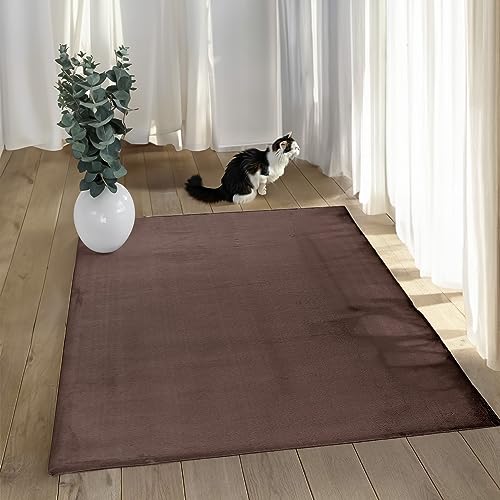 payé Teppich Wohnzimmer Hochflor - 200x290cm - Braun - Super Soft Kuschelweich Flauschig Modern Einfarbig Modern Weicher Schlafzimmerteppich von payé
