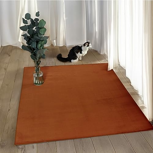 payé Teppich Wohnzimmer Hochflor - 80x150cm - Läufer - Terracotta - Super Soft Kuschelweich Flauschig Modern Einfarbig Modern Weicher Schlafzimmerteppich payé Teppich Wohnzimmer Hochflor - 80x150cm - Läufer - Terracotta - Super Soft Kuschelweich Flauschig Modern Einfarbig Modern Weicher Schlafzimmerteppich von payé