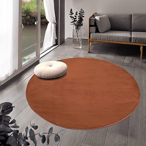 payé Teppich Wohnzimmer Hochflor Terracotta - 120x120cm - Rund Super Soft Kuschelweich Flauschig Modern Einfarbig Modern Weicher Schlafzimmerteppich von payé