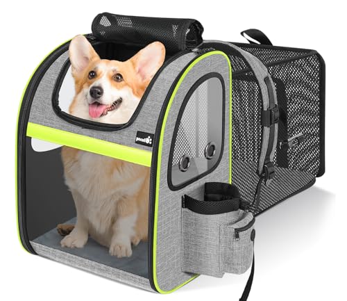 pecute Hunderucksack Erweiterbar, Faltbar Katzenrucksack Katzen mit Anti-offener Reißverschluss, Rucksack Hund mit Transparentes Fenster Grau XL, für Hunde Katzen Haustiere (40 * 33 * 49cm) von pecute