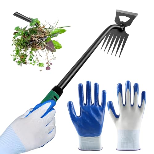 peiyee Gartenarbeit Hand Unkrautstecher, Unkrautstecher 6 Zähne Hand mit Gartenhandschuhe, Gartenwerkzeug Unkraut Entferner Entwurzeln mit Stiel Gummigriff, 36cm Langer Griff peiyee Gartenarbeit Hand Unkrautstecher, Unkrautstecher 6 Zähne Hand mit Gartenhandschuhe, Gartenwerkzeug Unkraut Entferner Entwurzeln mit Stiel Gummigriff, 36cm Langer Griff von peiyee