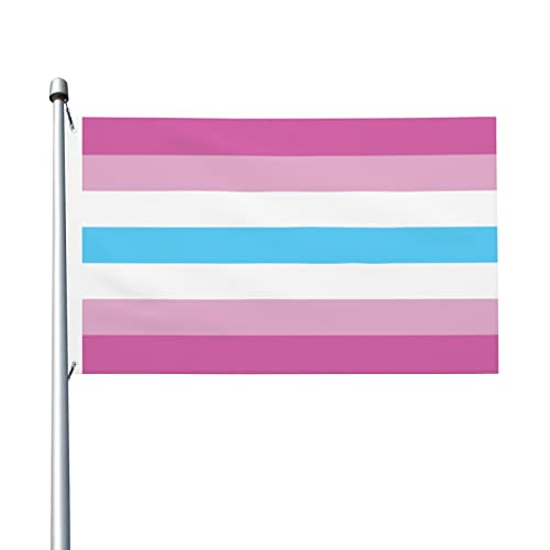 peiyeety Femboy-Flaggen, 90 x 150 cm, für den Außenbereich, doppelseitige Flagge, Polyester, leichte Flaggen, lustige Heimdekoration, 3 x 5 Flaggen von peiyeety