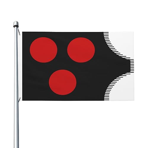 Timurid-Flaggen, 90 x 150 cm, für den Außenbereich, doppelseitige Flagge, Polyester, leichte Flaggen, lustige Heimdekoration, 3 x 5 Flaggen von peiyeety