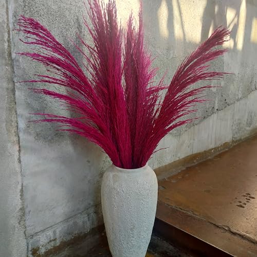 Lila-rotes Pampasgras-Dekor hoch 8 Stück 80 cm großes natürliches getrocknetes buntes Pampasgras pinkfarbene Pampasblumen mit Trockenblumenaroma Lange getrocknete Pflanze von penepico