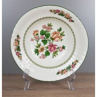 Hutschenreuther Rosa Blumen Grüne Ranken Schüssel Pastateller Teller Ø Ca. 21 cm von perfektgedeckt