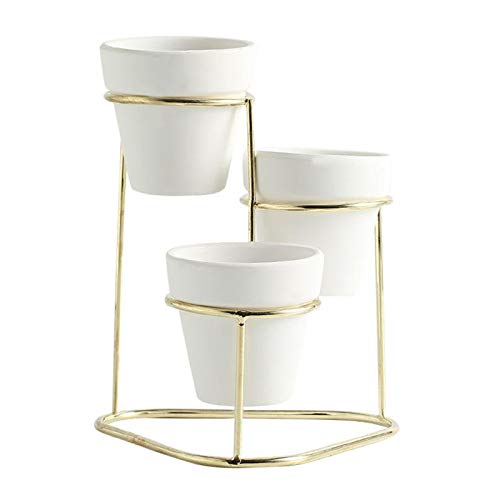 3X Keramik Sukkulenten Pflanzer Töpfe, Moderne Innen Container mit Metallic Stand, mit Mini Bewässerung Ablauf, Gold A von perfk
