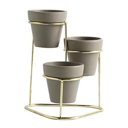 3X Keramik Sukkulenten Pflanzer Töpfe, Moderne Innen Kaktus Container mit Metallic Stand, mit Mini Bewässerung Ablauf Löcher - Gold B von perfk