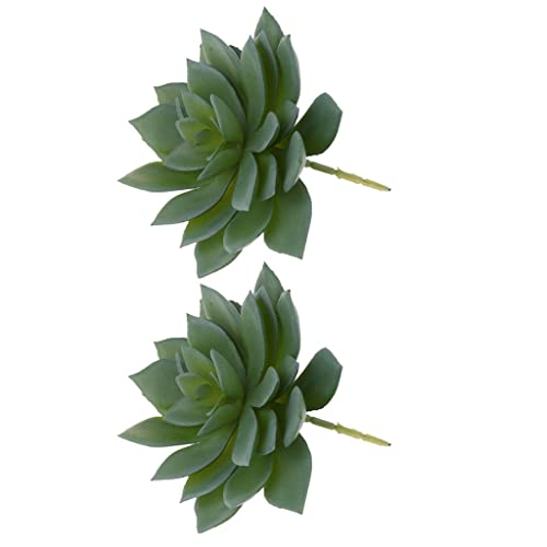 perfk 2 Künstliche Sukkulenten Pflanzen Echeveria perfk 2 Künstliche Sukkulenten Pflanzen Echeveria von perfk
