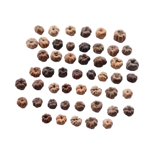 perfk 50x Mini Putka Herbst Vase Füller Handwerk liefert Ornamente natürliche getrocknete Früchte Mini Kürbis für Hochzeit Potpourri von perfk