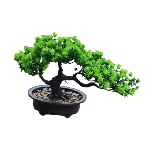 perfk Bonsai Baum für Die Inneneinrichtung Und Gartenbereich, Höhe 19cm von perfk
