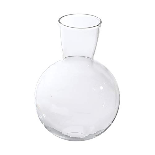 perfk Desktop Glas ntopf Glühbirne Vase Klar Ball Knospe Vase Anordnung Transparent Kleine Glaskolben von perfk