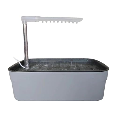 perfk Elektrische Vogelbadewannendusche, automatisches Vogelbad für Haustiere mit USB-, automatische Badebox für Papageien, Nymphensittiche und, Grau perfk Elektrische Vogelbadewannendusche, automatisches Vogelbad für Haustiere mit USB-, automatische Badebox für Papageien, Nymphensittiche und, Grau von perfk