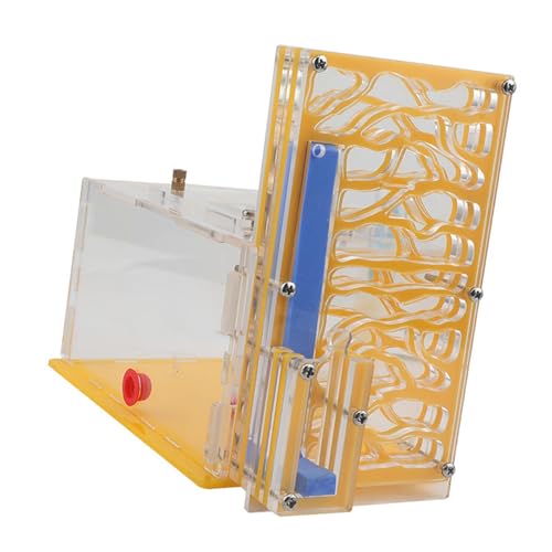 perfk Feuchtigkeit Ameisenhaus Nistkasten Kompakt DIY Transparent für Liebhaber Tischplatte Kindertag Zuhause, Gelb perfk Feuchtigkeit Ameisenhaus Nistkasten Kompakt DIY Transparent für Liebhaber Tischplatte Kindertag Zuhause, Gelb von perfk