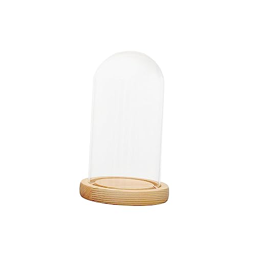 perfk Glaskuppel Cloche Glocke Glas Holzsockel Transparente Abdeckung Vitrine Vitrine Multifunktional, 12x28cm von perfk