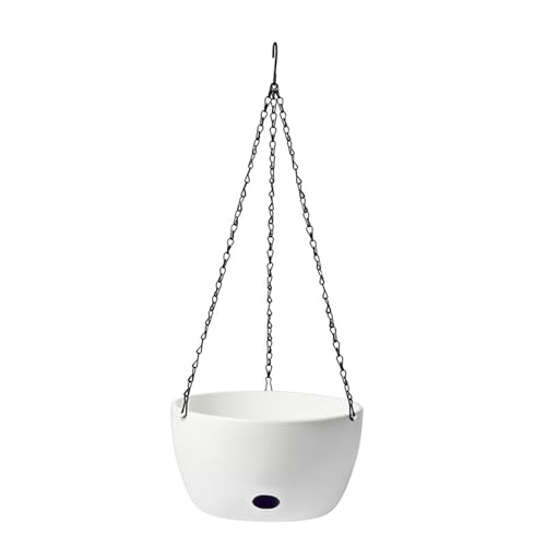 perfk Hängender Pflanztopf, Blumentopf, Ornament, Dekoration, selbstbewässernder Pflanzenbehälter für Pflanzen im Innen- und Außenbereich, für Terrassen, M perfk Hängender Pflanztopf, Blumentopf, Ornament, Dekoration, selbstbewässernder Pflanzenbehälter für Pflanzen im Innen- und Außenbereich, für Terrassen, M von perfk