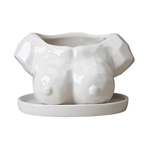 perfk Weibliche Brust Sukkulenten Vase Weiß Keramik Pflanzer für Home Garten Desktop Dekoration von perfk