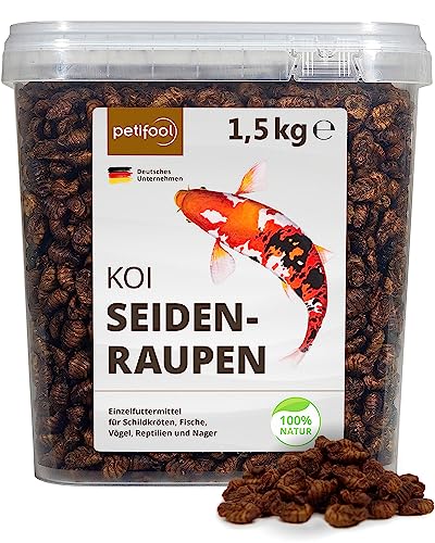 petifool Koi Seidenraupen 1,5kg – getrocknete Seidenraupen - gesunder Insektensnack für Schildkröten, Fische, Vögel, Reptilien und Nager von petifool