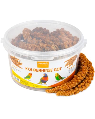 petifool Kolbenhirse rot 500g - Einzelfuttermittel für alle Ziervögel - Vogelfutter - 100% Natur von petifool