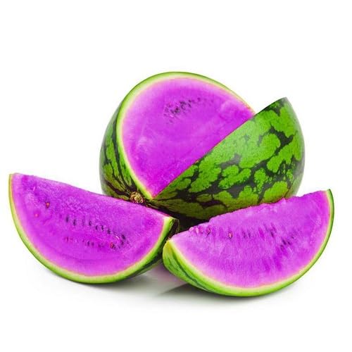 70 Stück lila Wassermelonen-Fruchtsamen zum Anpflanzen 70 Stück lila Wassermelonen-Fruchtsamen zum Anpflanzen von phomobida