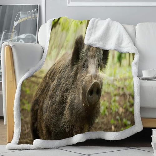 Decke 150x200 cm Wildschwein - Jagd Warme Kuscheldecken Weich Gemütlich Sanft Flanell Fleecedecke Tagesdecke Bett Sofa überwurfdecke Personalisierte Geschenke, für Frauen Männer von phonxia