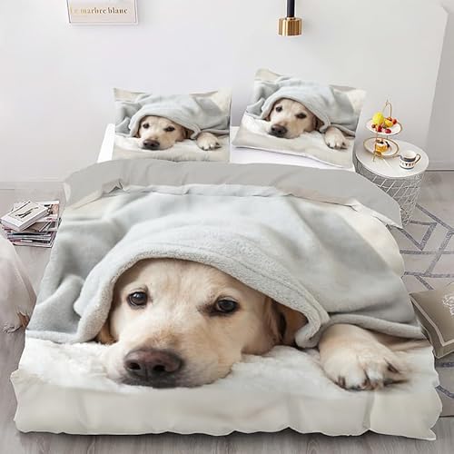 phonxia Bettwäsche 155x220 Grauer Labrador Bettbezuge mit Reißverschluss Bettwäsche-Sets 3teilig Weiche Mikrofaser + 2 Kissenbezug 80x80 cm für Jungen Mädchen von phonxia