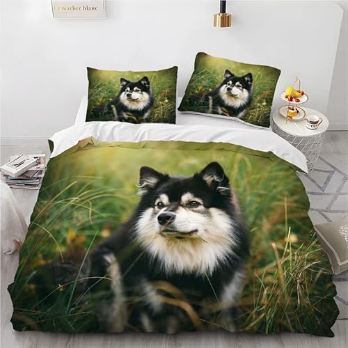 phonxia Bettwäsche 155x220 Schwarz Samojede Bettbezug 155x220 Set mit Reißverschluss Bettwäsche-Set für Teenager 2 Kissenbezug 80x80 cm Mikrofaser Atmungsaktiv phonxia Bettwäsche 155x220 Schwarz Samojede Bettbezug 155x220 Set mit Reißverschluss Bettwäsche-Set für Teenager 2 Kissenbezug 80x80 cm Mikrofaser Atmungsaktiv von phonxia