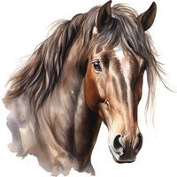 Aquarell Pferdeporträt Wandtattoo Aufkleber Edles Pferd Motiv Für Wand Tür Kinderzimmer Reiter Pferdeliebhaber Deko Aquarell Pferdeporträt Wandtattoo Aufkleber Edles Pferd Motiv Für Wand Tür Kinderzimmer Reiter Pferdeliebhaber Deko von piedpipersticker