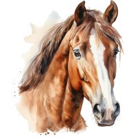 Aquarell Pferdeporträt Wandtattoo Aufkleber Edles Pferd Motiv Für Wand Tür Kinderzimmer Reiter Pferdeliebhaber Deko Aquarell Pferdeporträt Wandtattoo Aufkleber Edles Pferd Motiv Für Wand Tür Kinderzimmer Reiter Pferdeliebhaber Deko von piedpipersticker